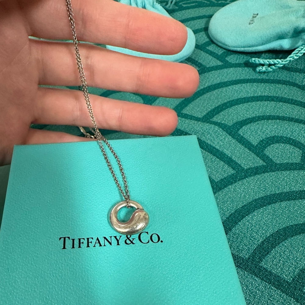 Tiffany & Co. 925 Silver Eternal Circle necklace